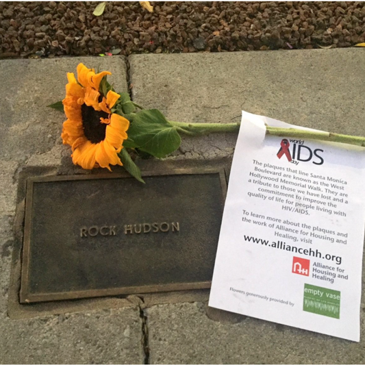 WEHOVILLE: Flowers on the Boulevard for World AIDS Day