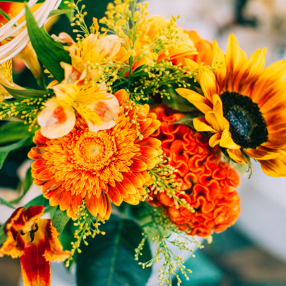 Flower Colors and Their Meanings