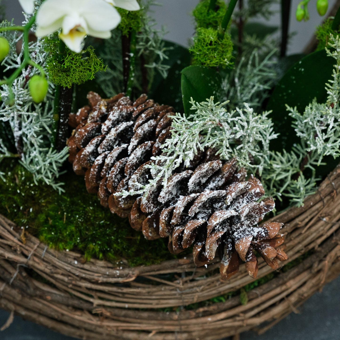 Winter Orchid Wreath Basket