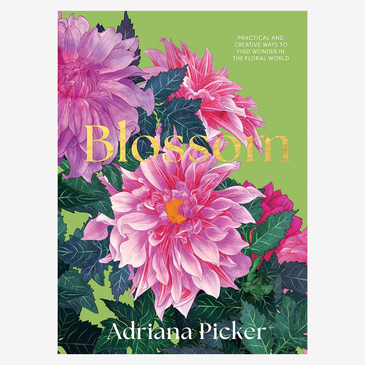 Blossom: Practical and Creative Ways to Find Wonder in the Floral World by Adriana Picker