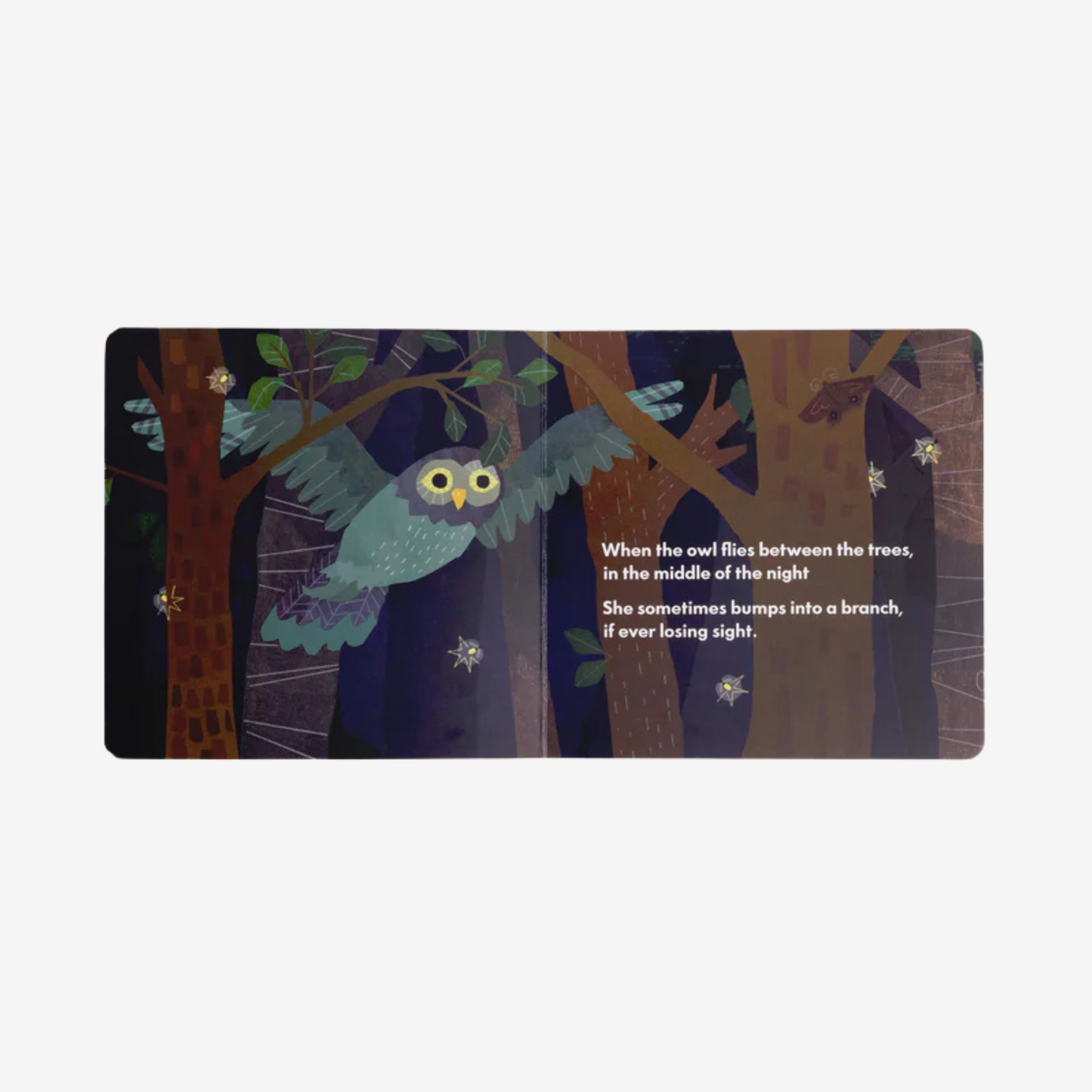 Dr. Max's - Children's Book - Dr. Animals