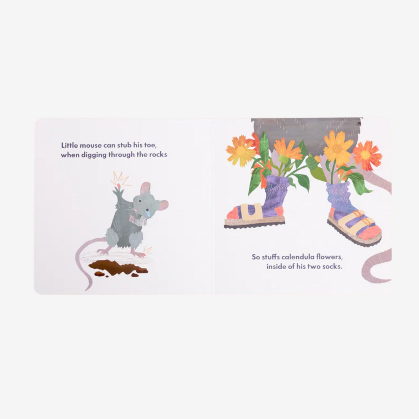 Dr. Max's - Children's Book - Dr. Animals