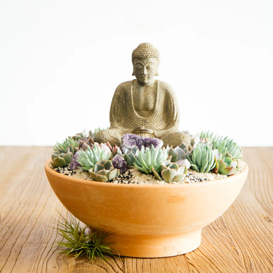 The Zen Bundle