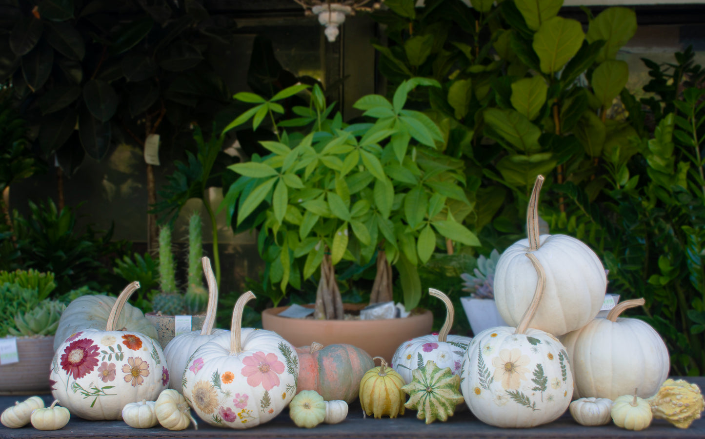 Fantasy Pumpkins