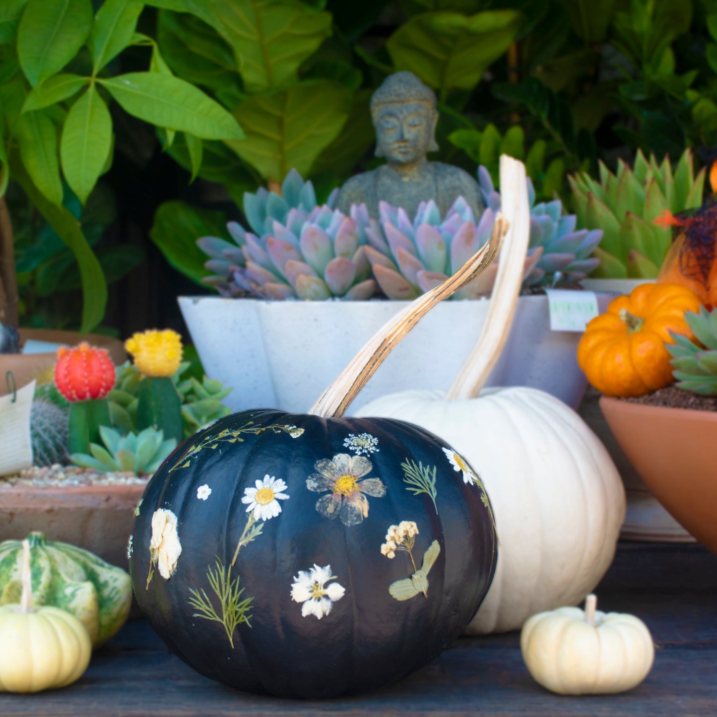 Fantasy Pumpkins