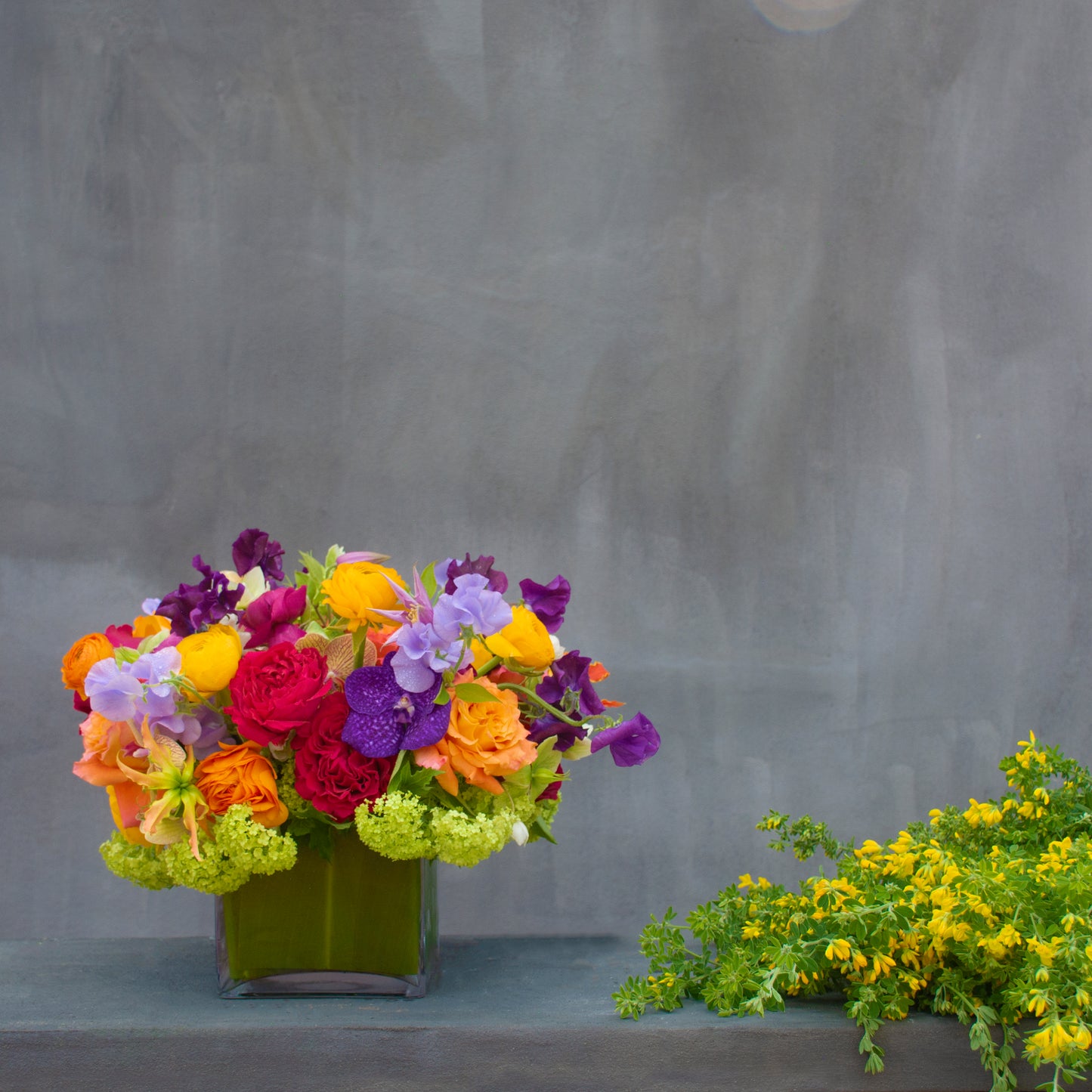 Le Jardin Du Printemps