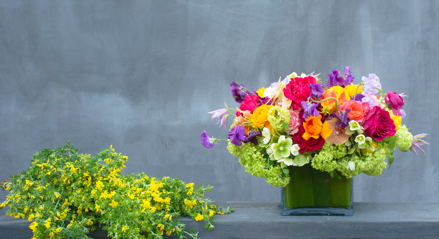 Le Jardin Du Printemps