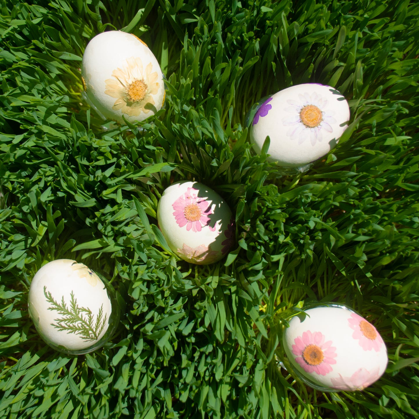 Empty Vase - Ceramic Eggs Limited Edition