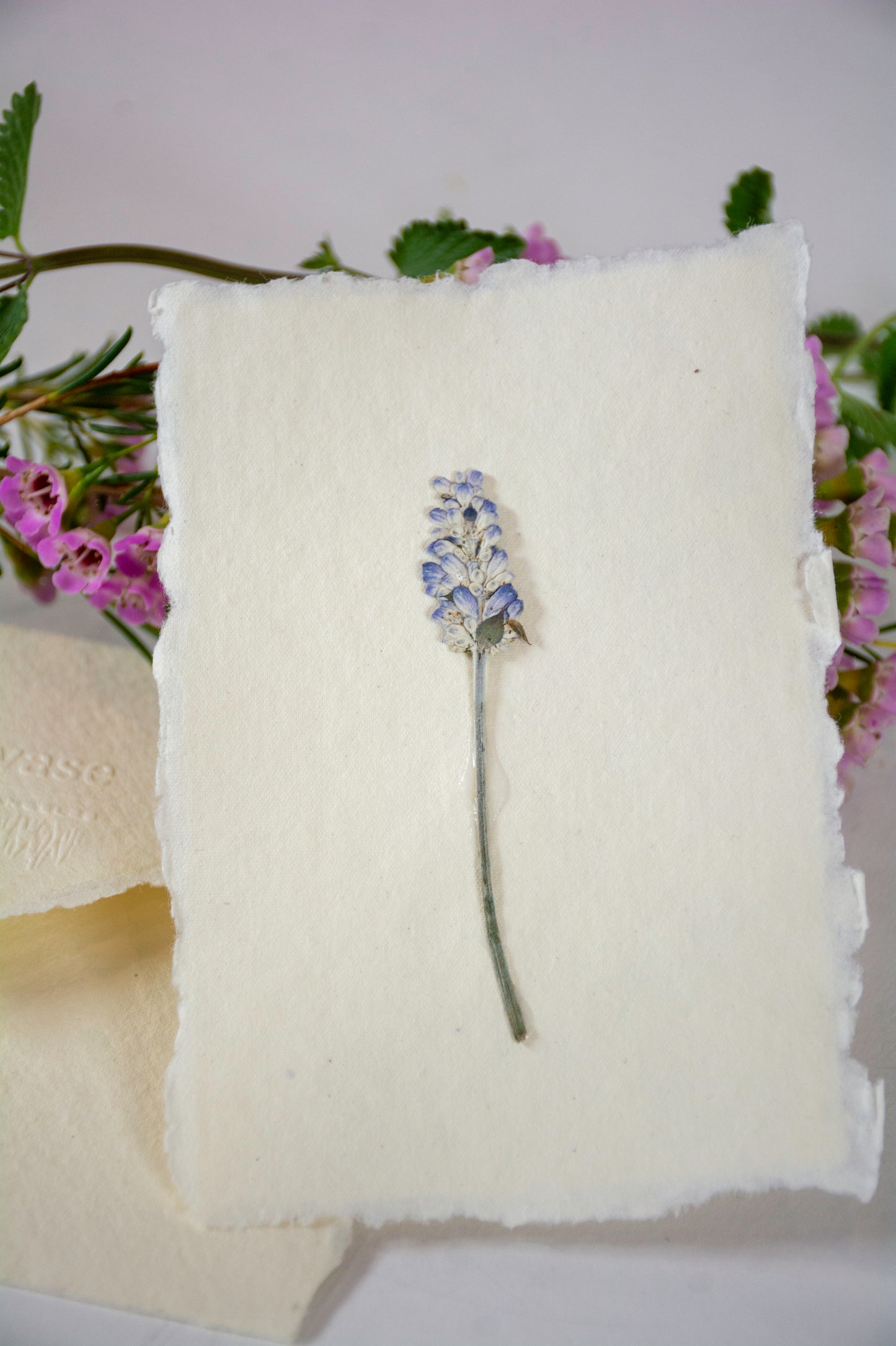 Empty Vase - Handmade Pressed Flower Postcard