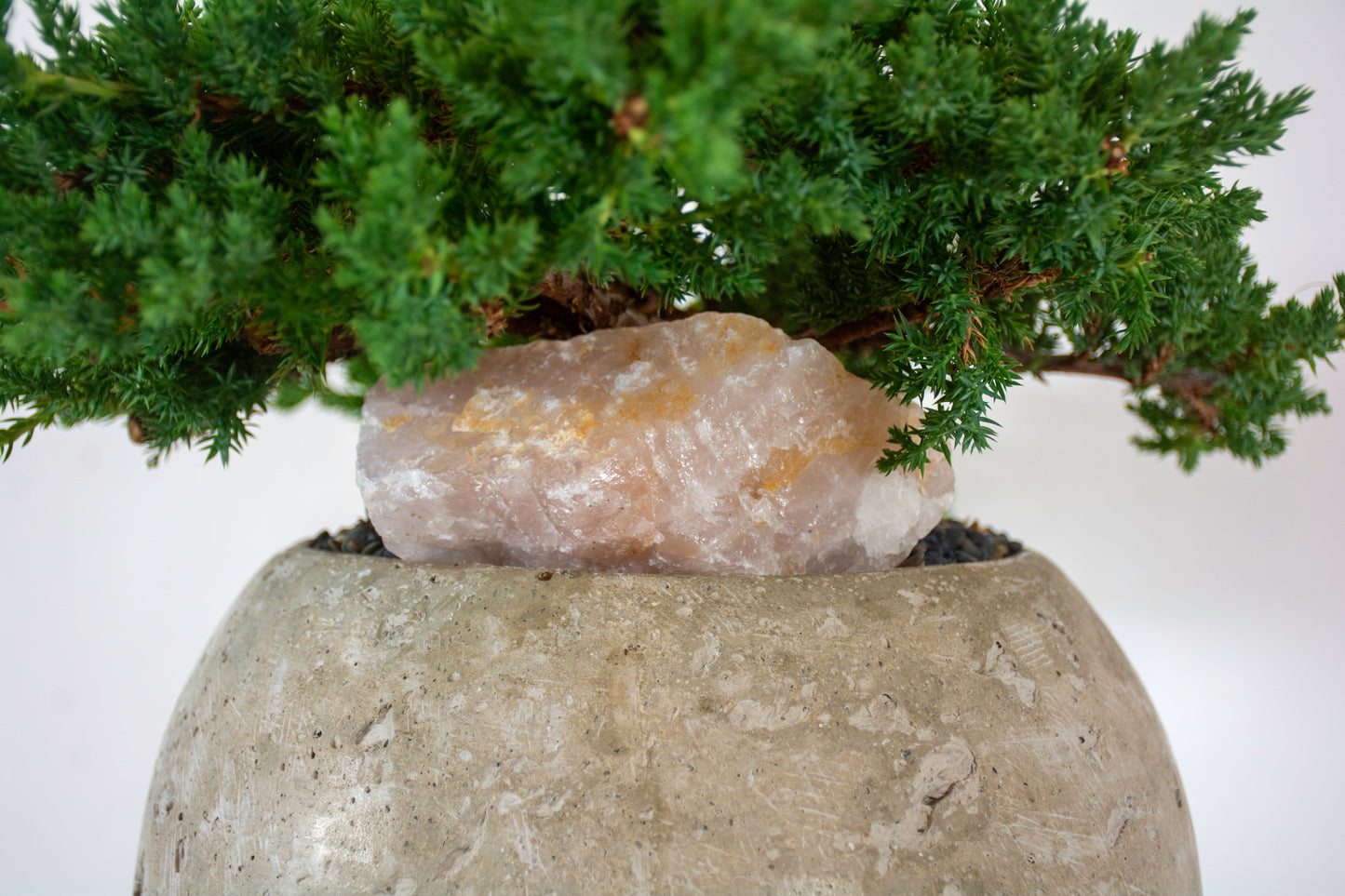 Sacred Earth