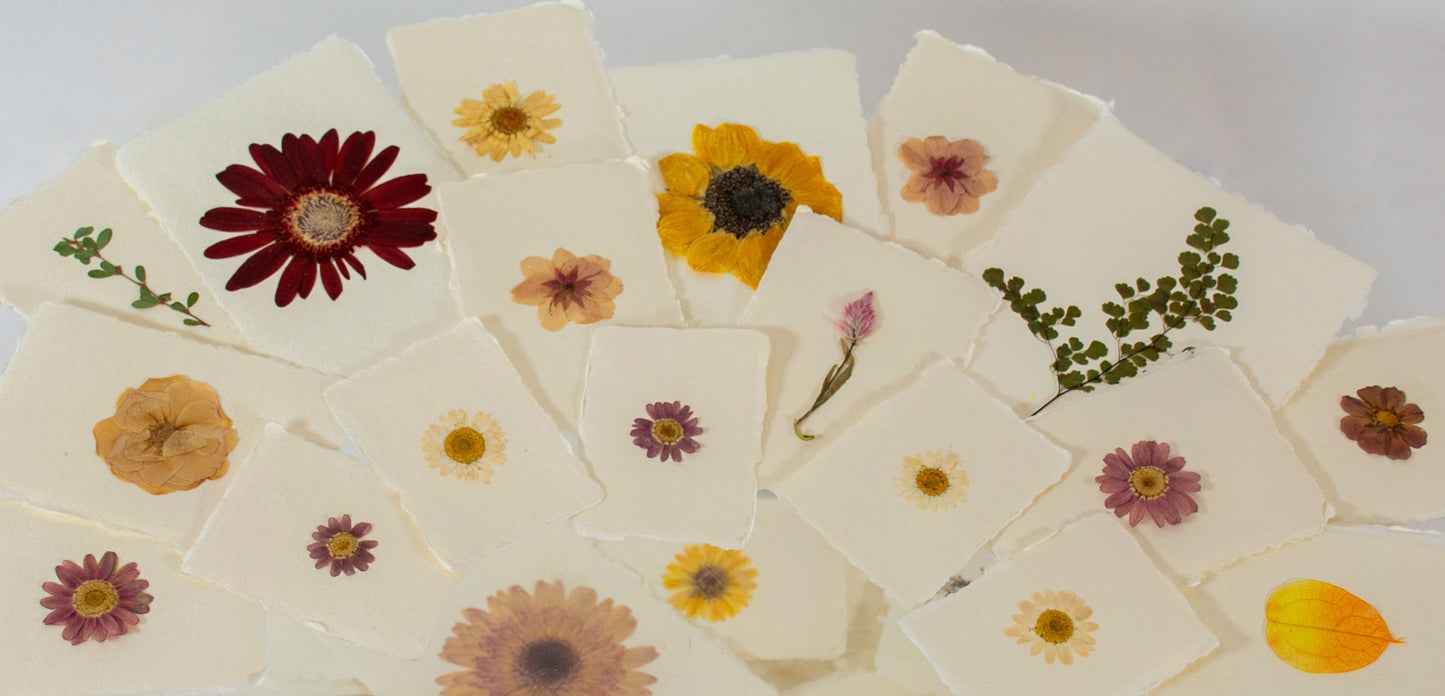 Empty Vase - Handmade Pressed Flower Postcard