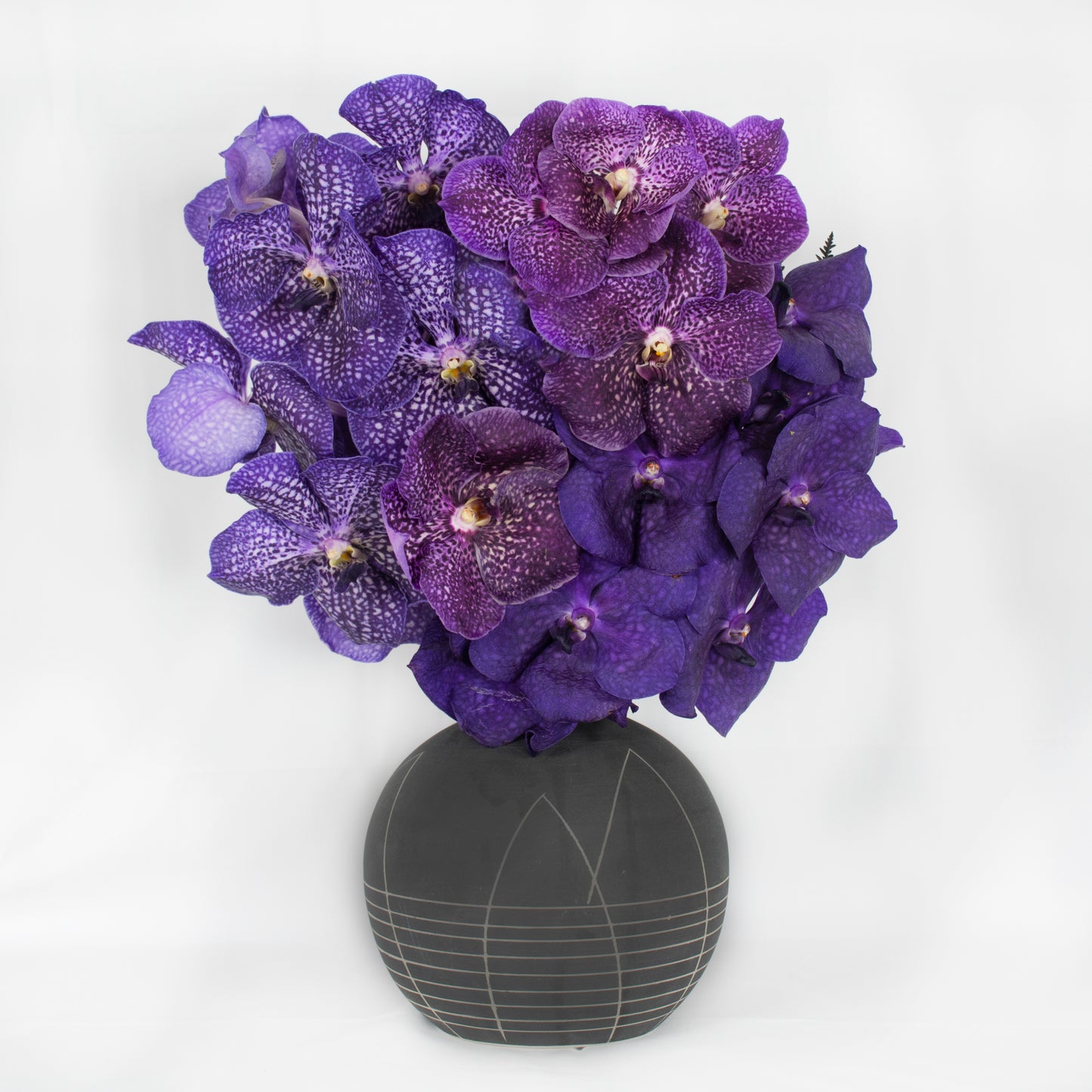 Purple Rain