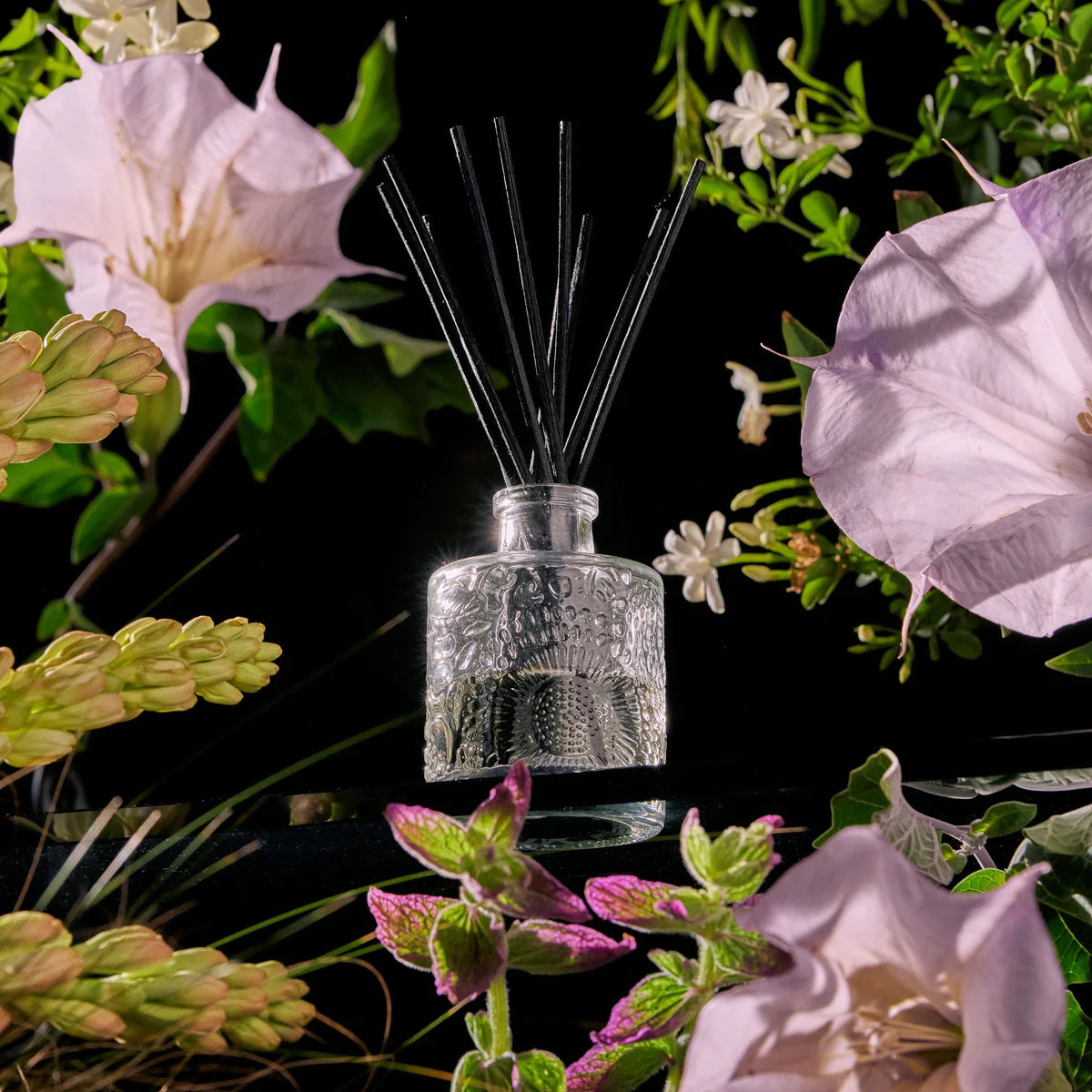 Voluspa - Reed Diffuser - Jasmine Midnight Blooms