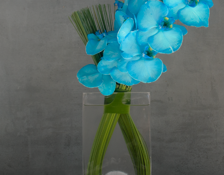 Mizu Blue