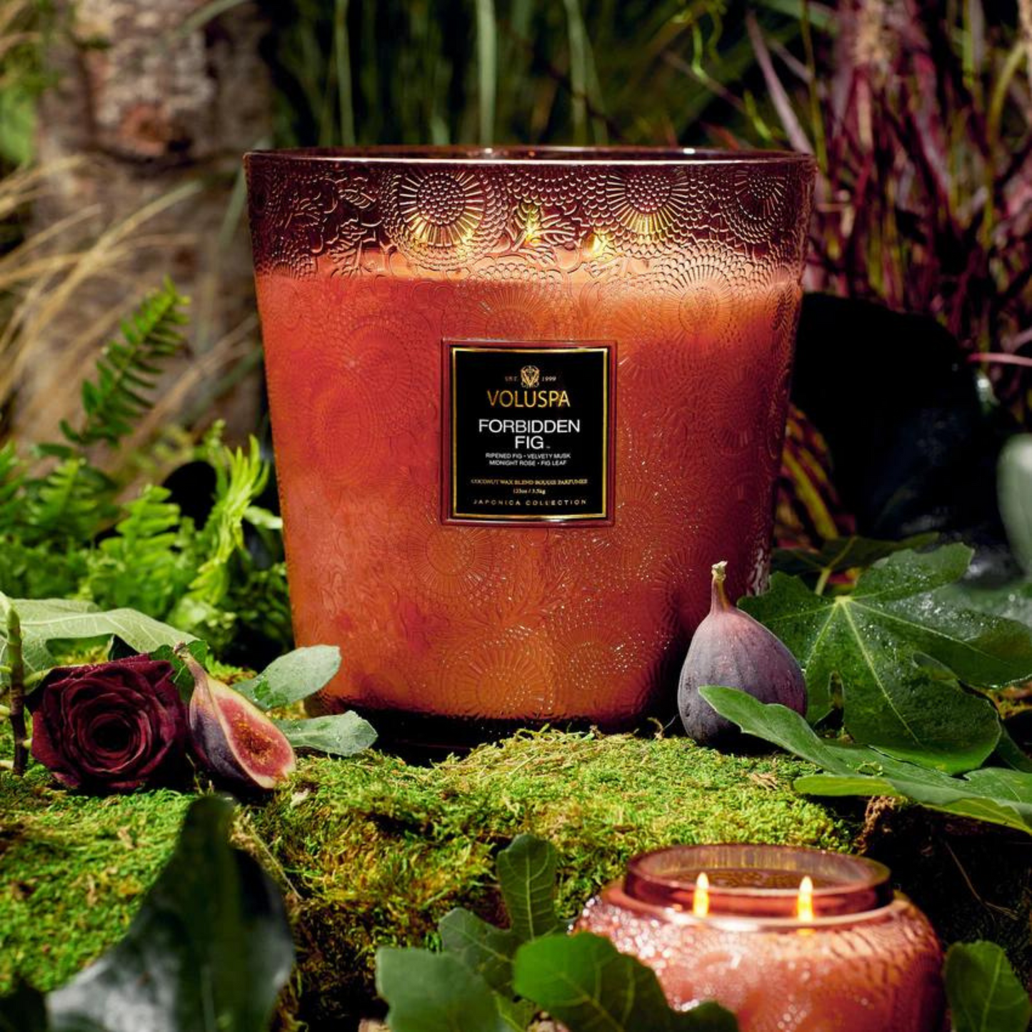 Voluspa - 5 Wick Hearth Candle - Forbidden Fig