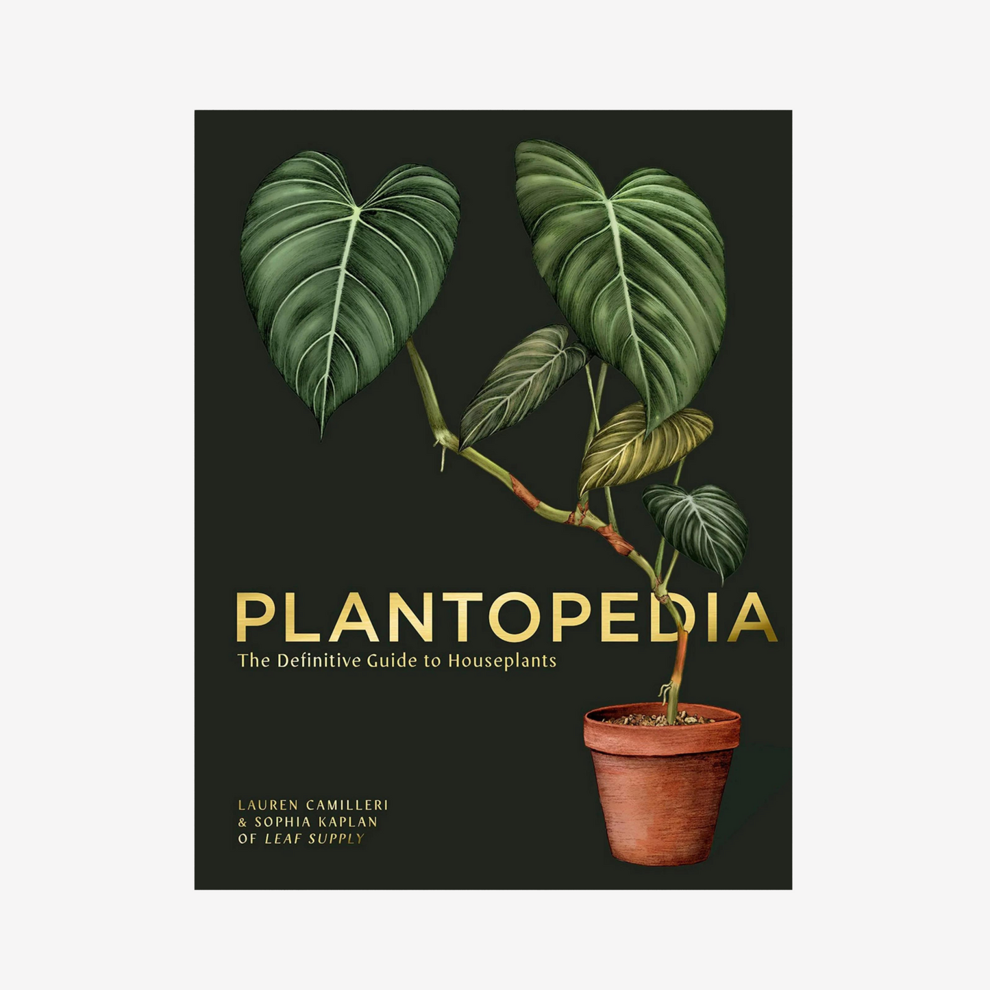 Book - Plantopedia: The Definitive Guide to Houseplants