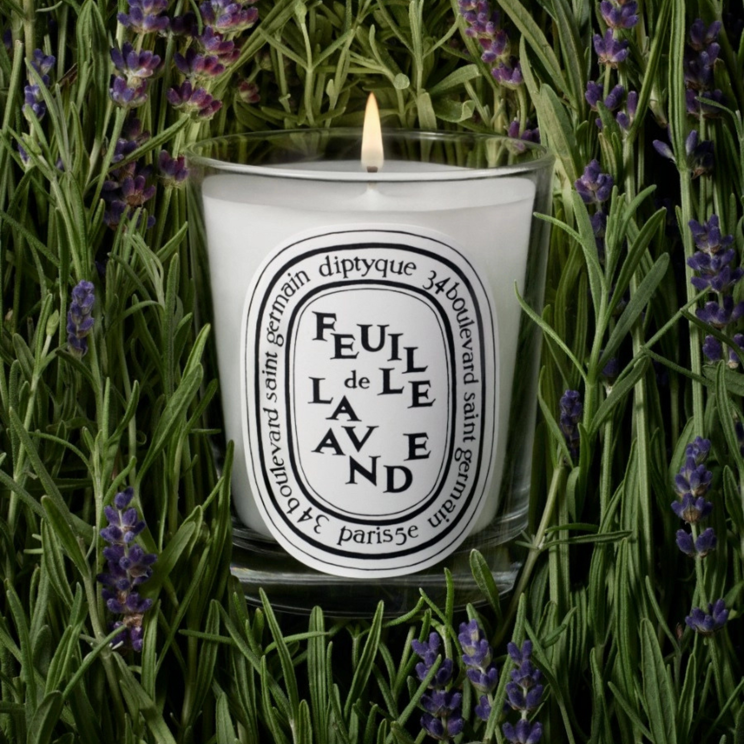 Diptyque - Small Candle - Feuille de Lavande (Lavender)