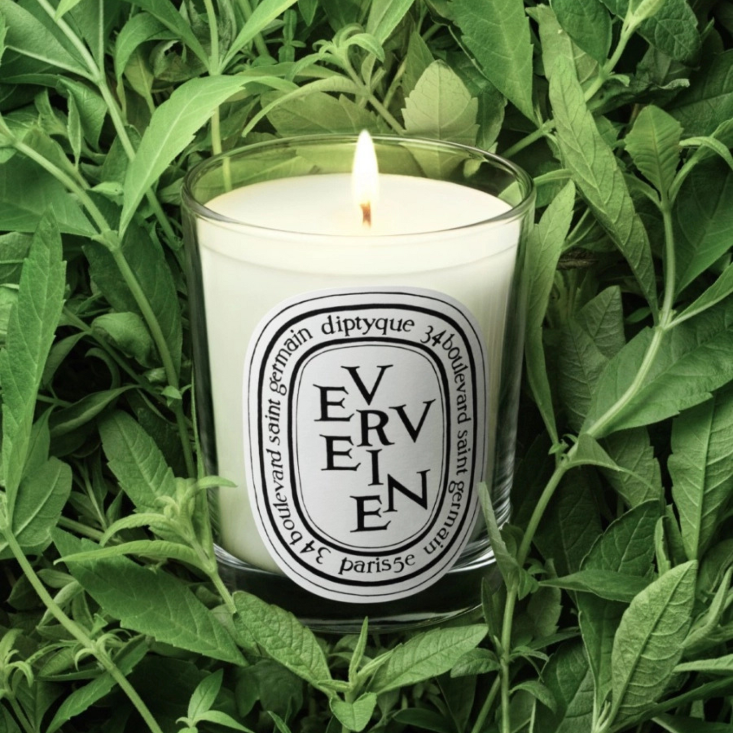 Diptyque - Small Candle - Vervine