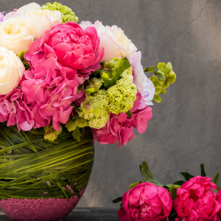 Peony Elegance