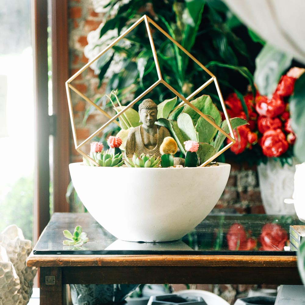 succulent vase arrangements Peace in the Desert