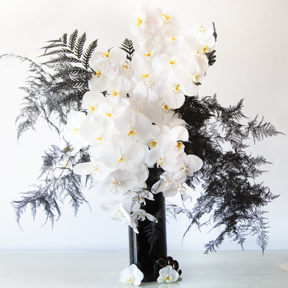 White Phalaenopsis Orchid - Empty Vase Floral Arrangement