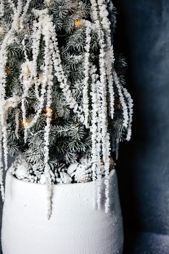 La Ville Lumière Tree