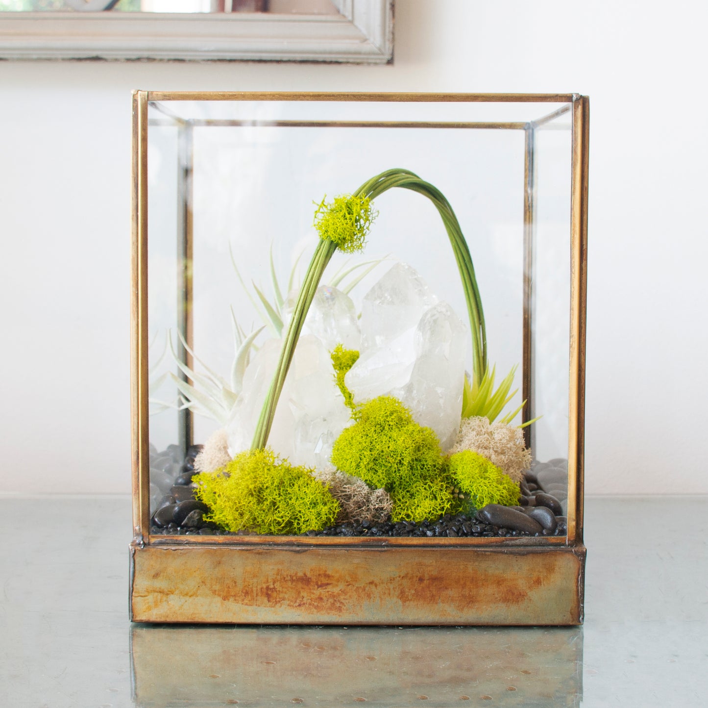 Green Serene - One of a Kind Terrarium