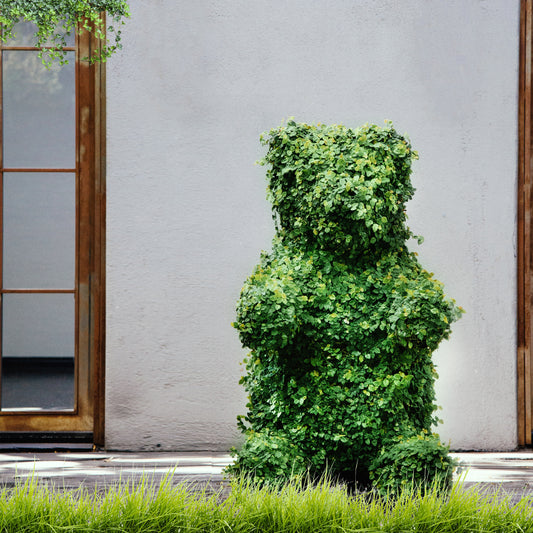 Sitting Bear Topiary