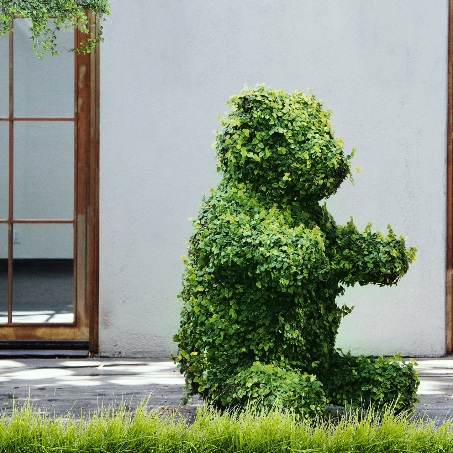 Sitting Bear Topiary