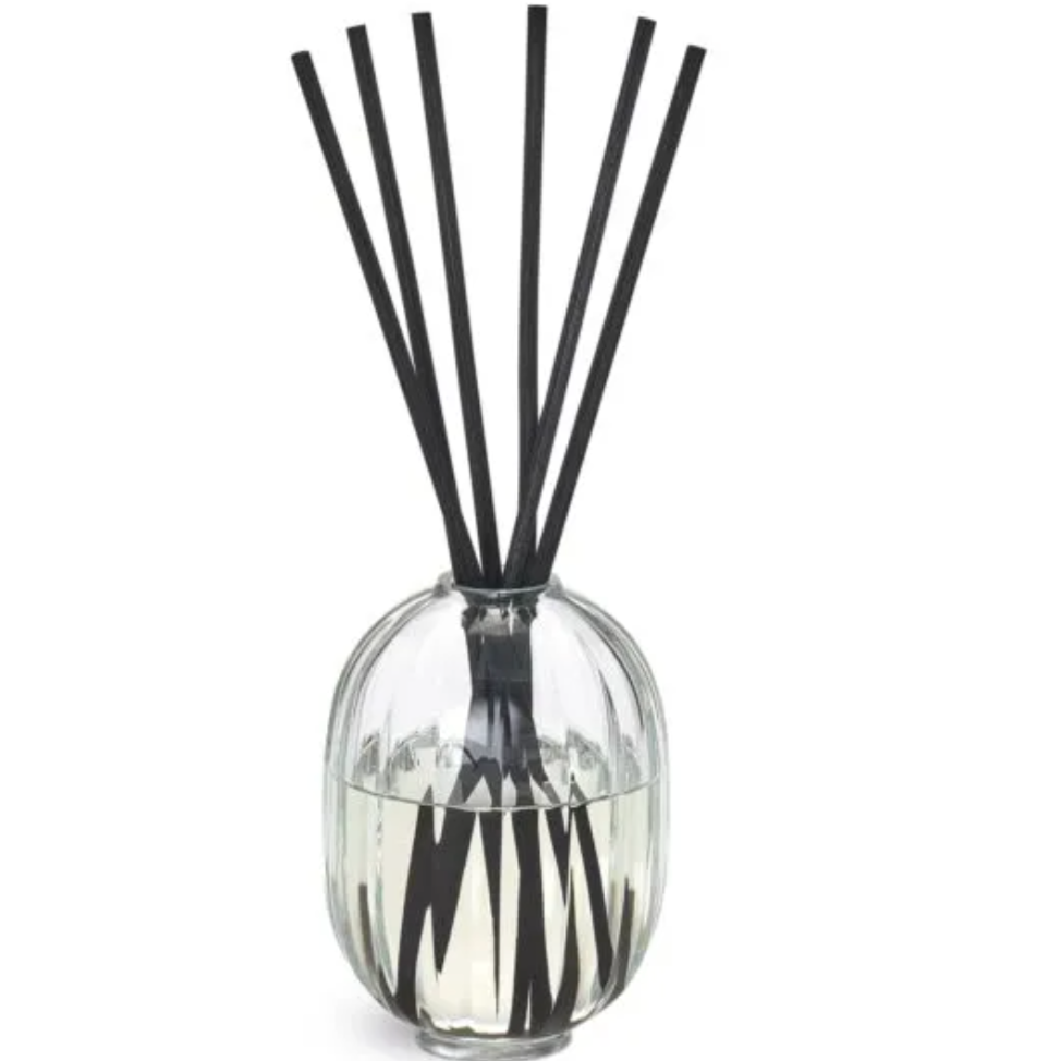 Empty Vase - Diptyque - Home fragrance diffuser - Baies Empty Vase - Diptyque - Home fragrance diffuser - Baies