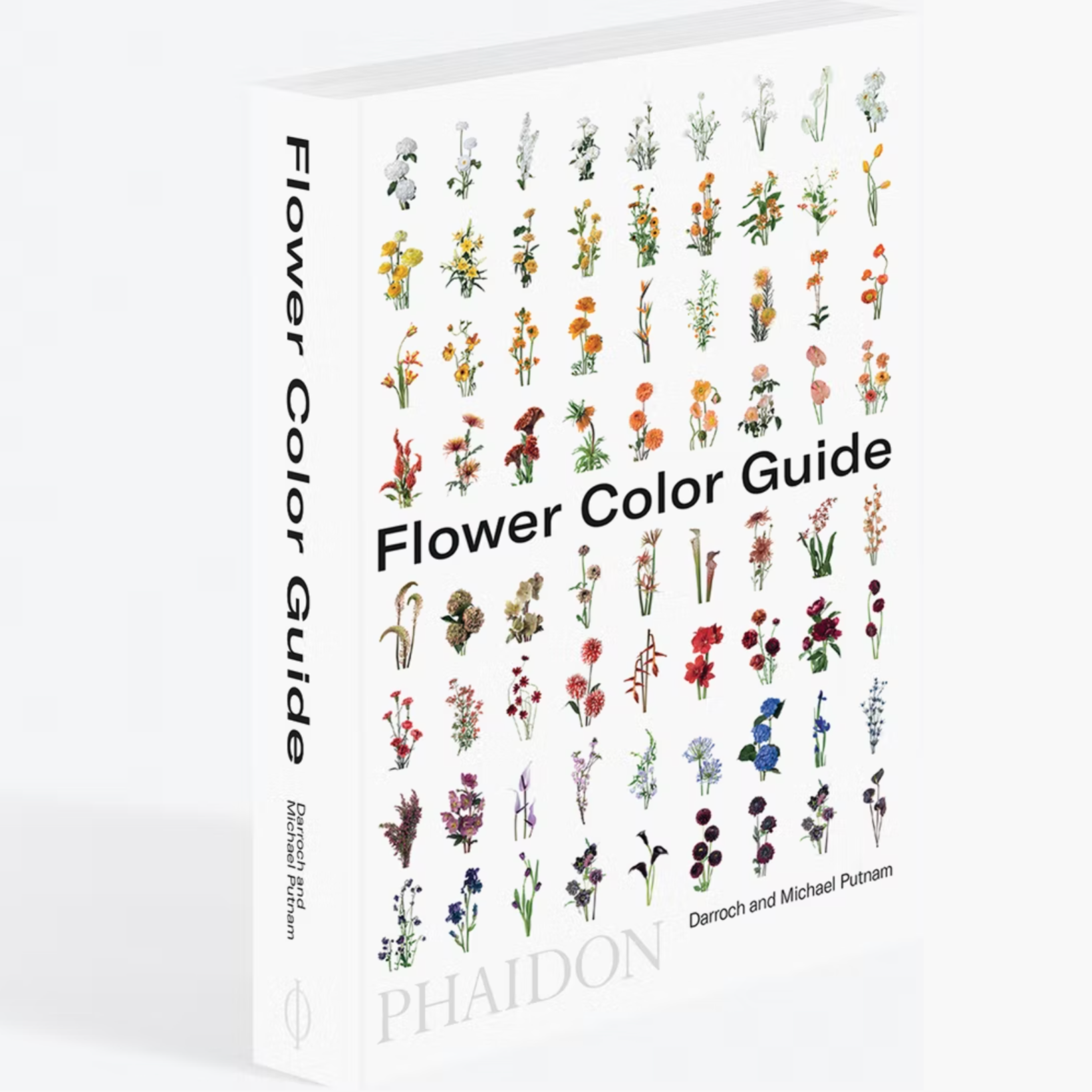 Empty Vase - Flower Color Theory by Darroch Putnam - Same Day Flower  Delivery