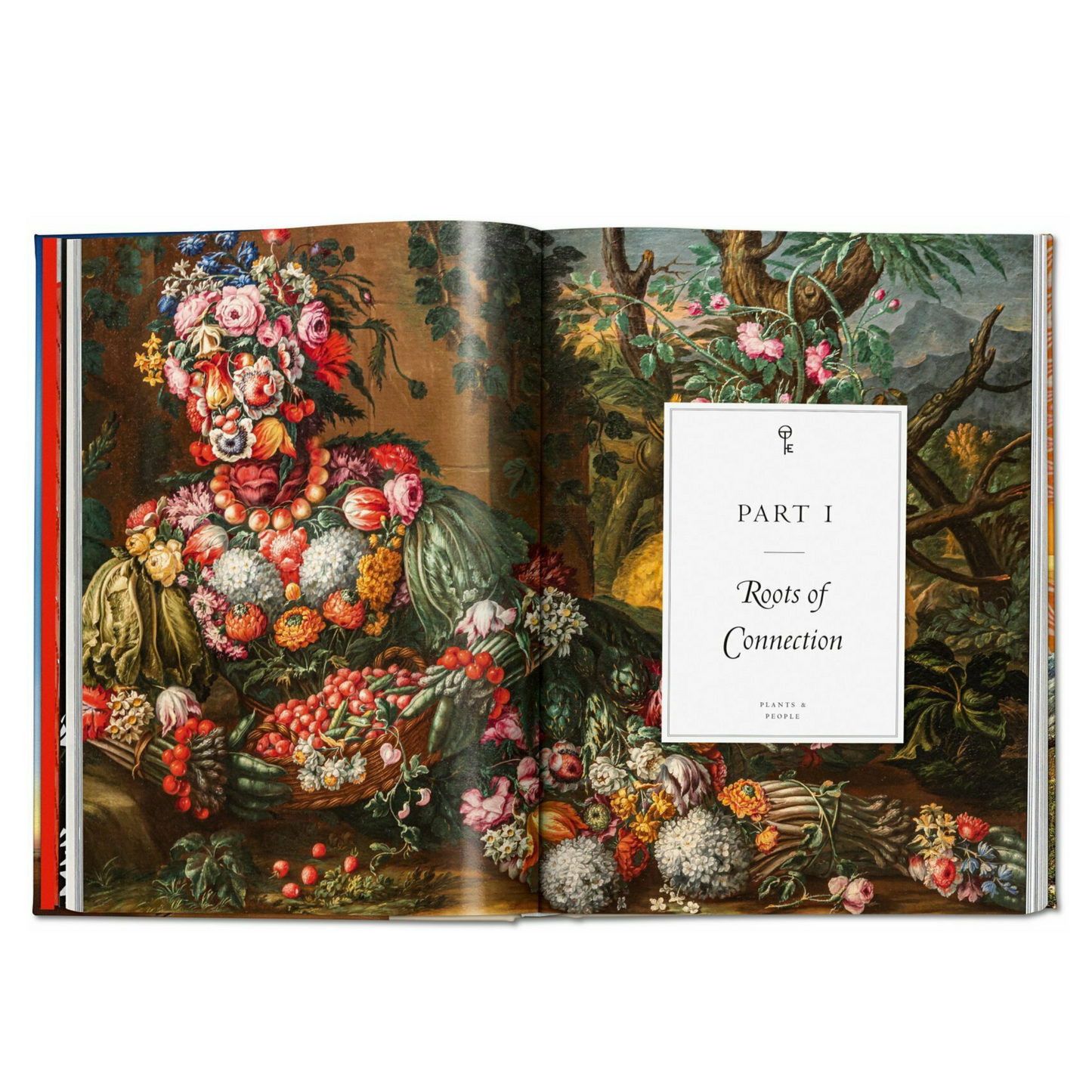 Book - Plant Magick