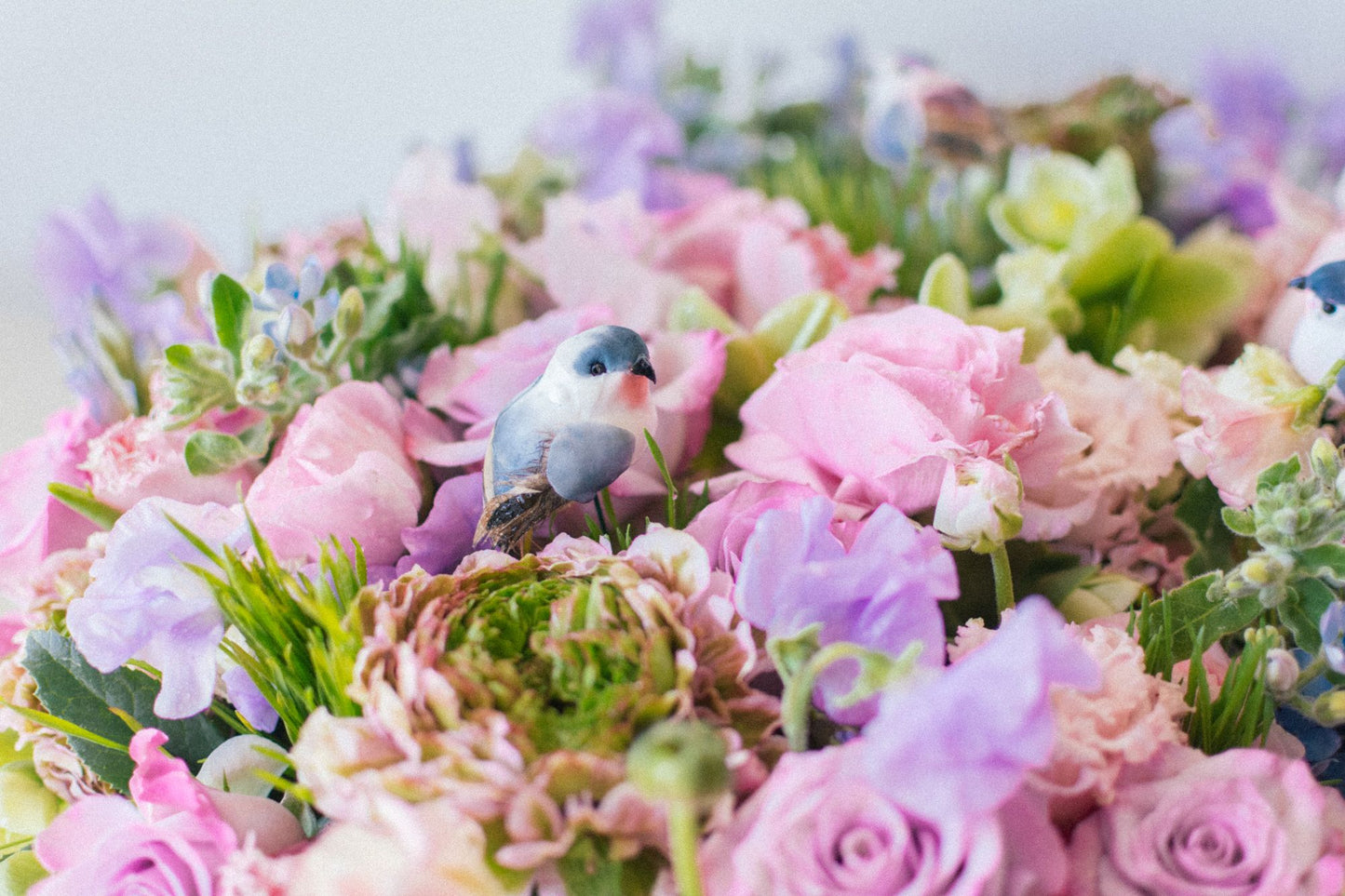 Blue Bird Melody