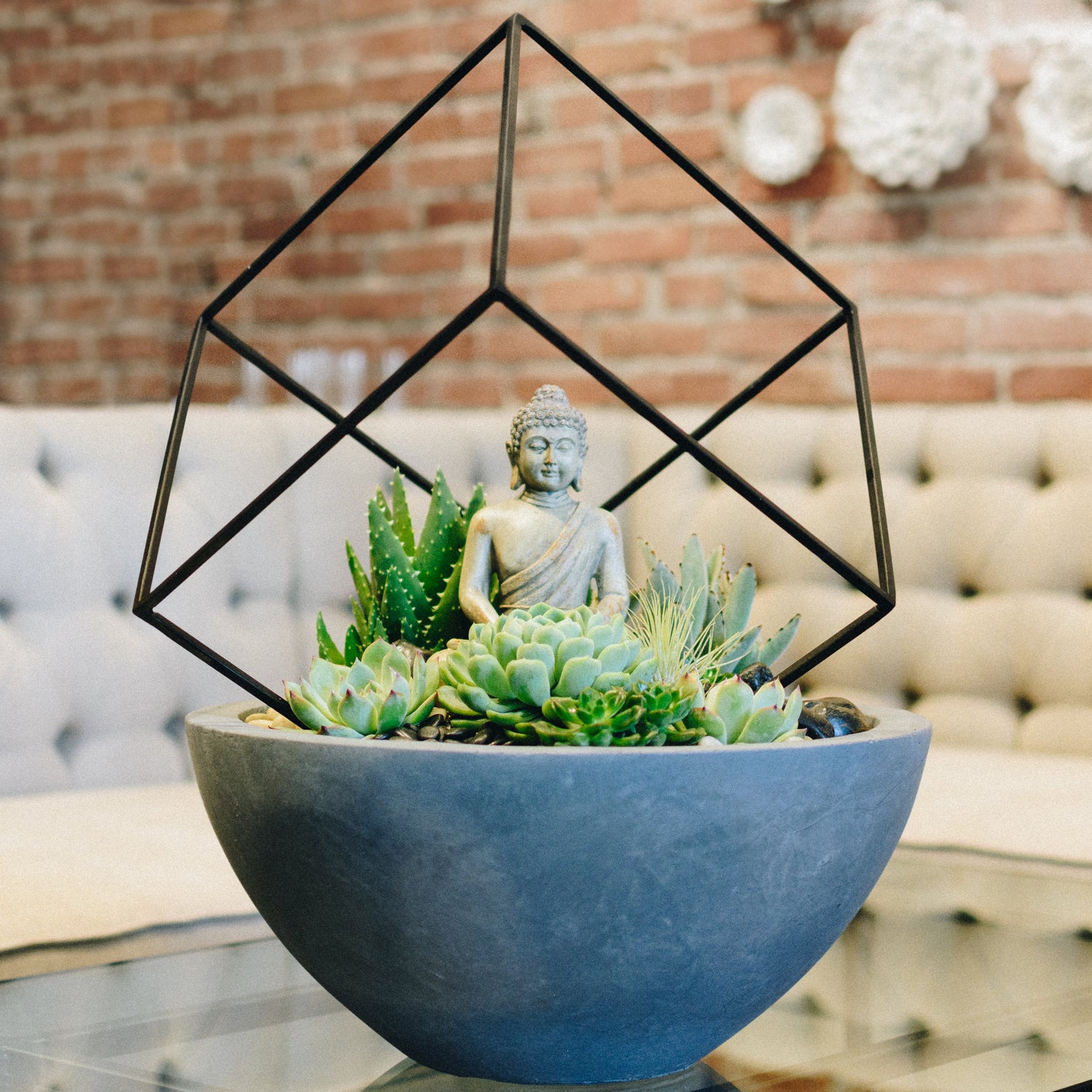 vase succulent Buddha's Garden