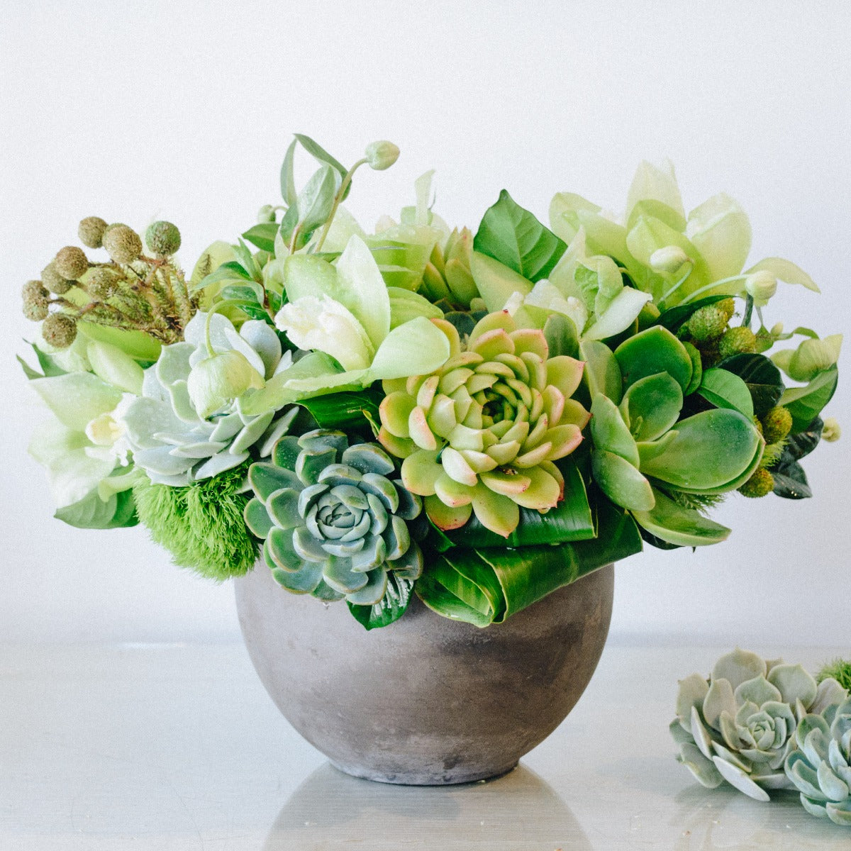 fresh succulent arrangements Succulents Floral Arrangement - Empty Vase