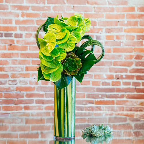 anthurium modern arrangements The Succulent Kingdom