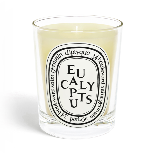 Diptyque - Classic Candle - Eucalyptus