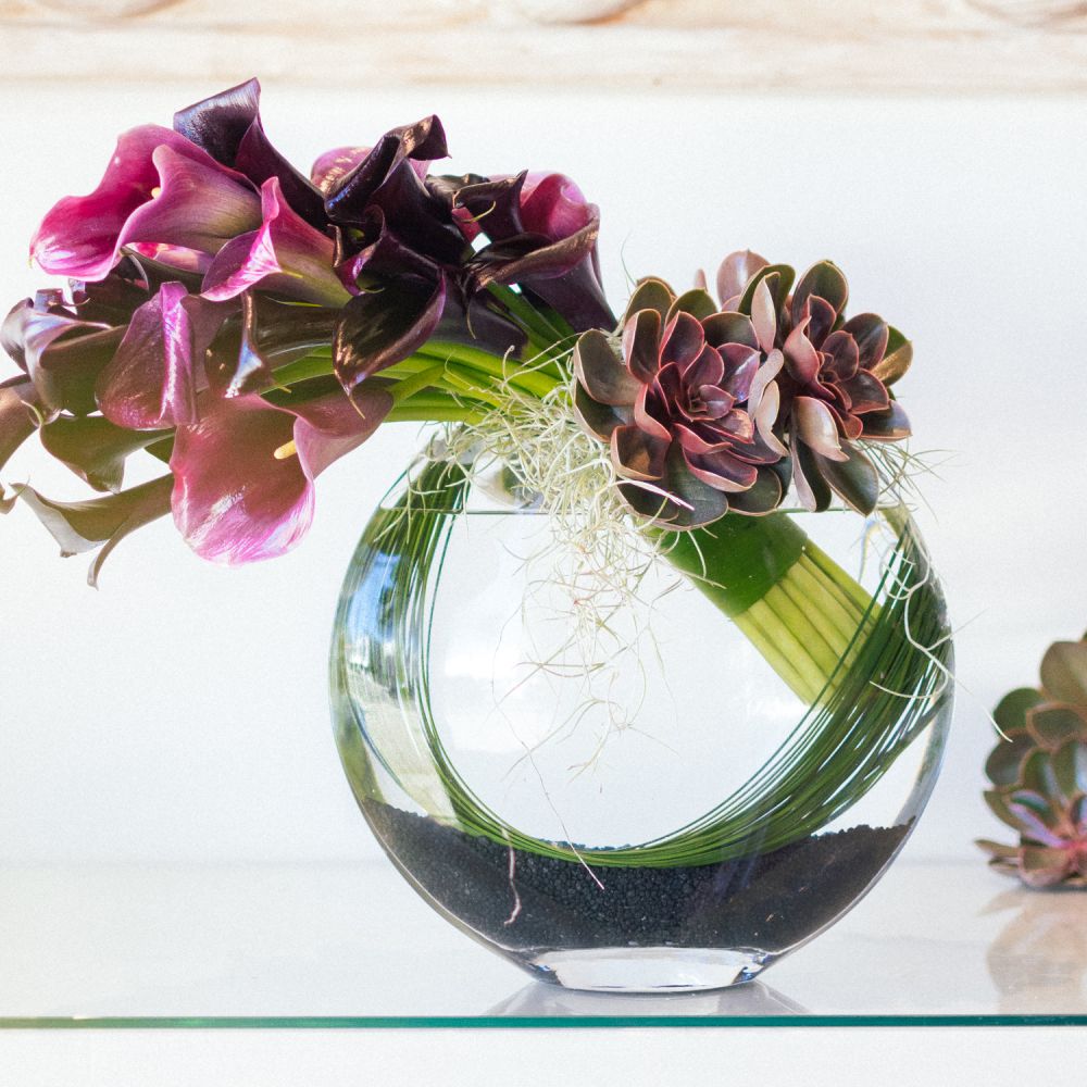 Call of the Calla Lilies