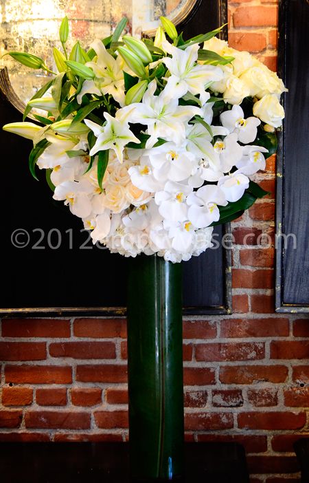 Lily Cloud