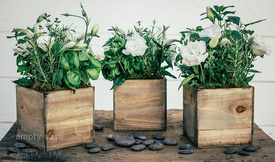 Micro Garden