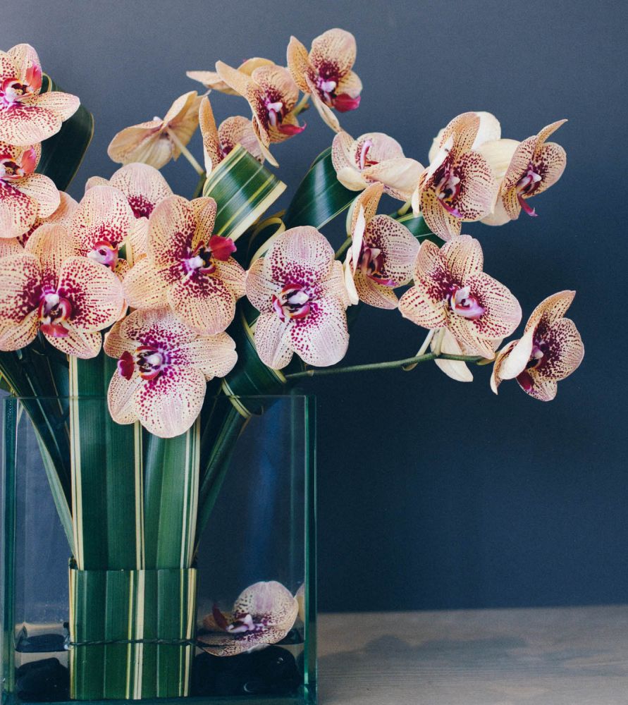 A Modern Masterpiece