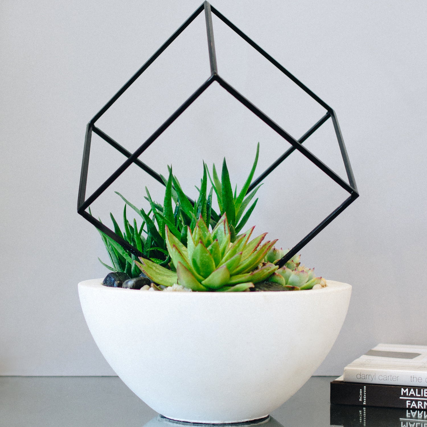 geometric succulent vase The Poly Plaza