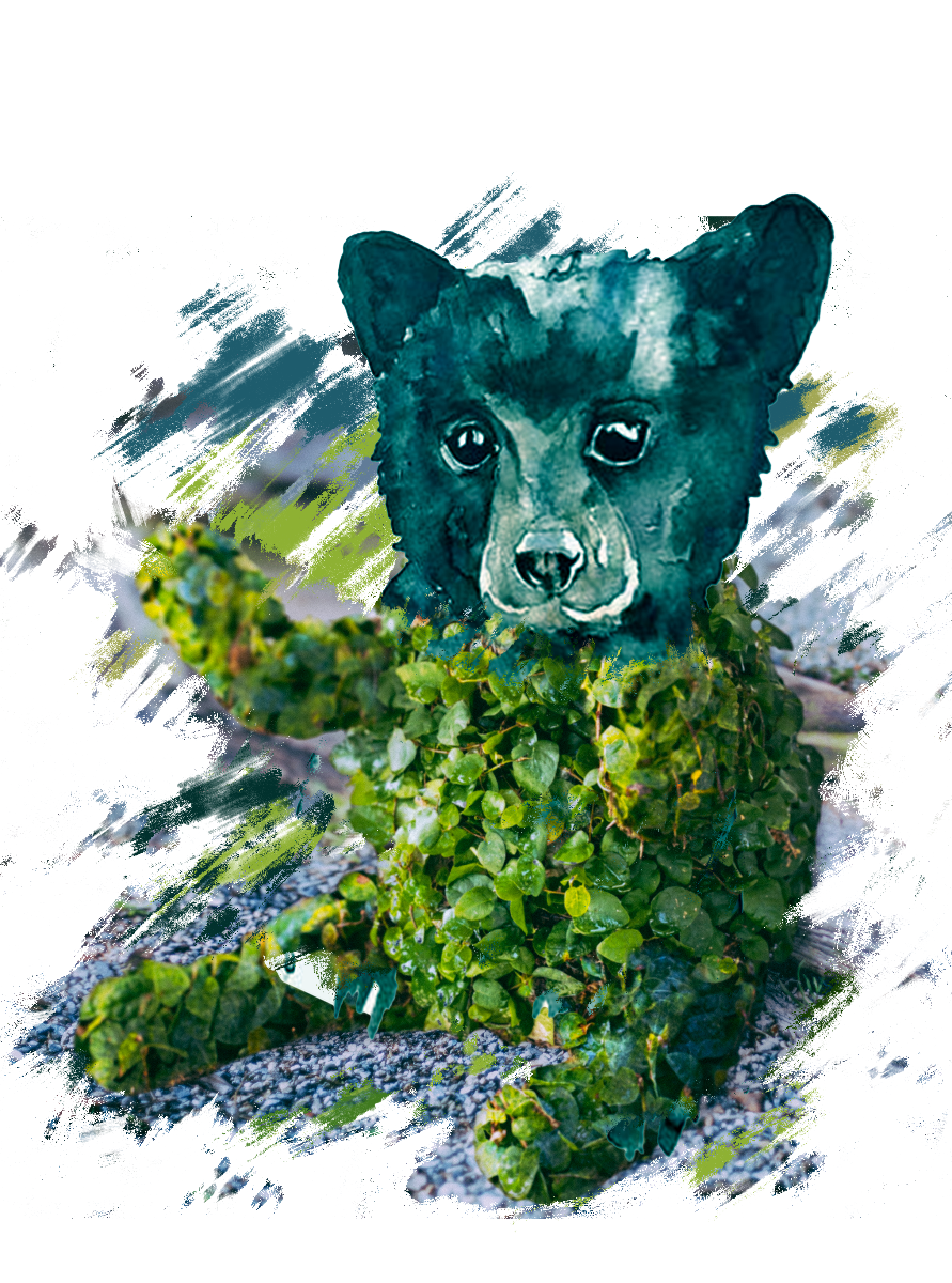 Sitting Bear Topiary