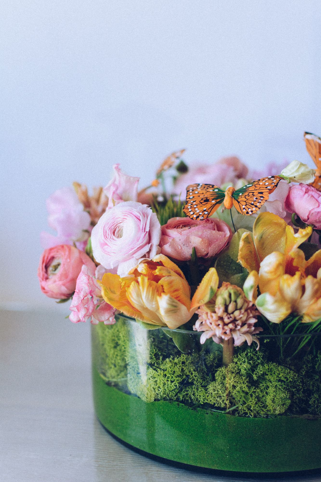 Spring Butterfly