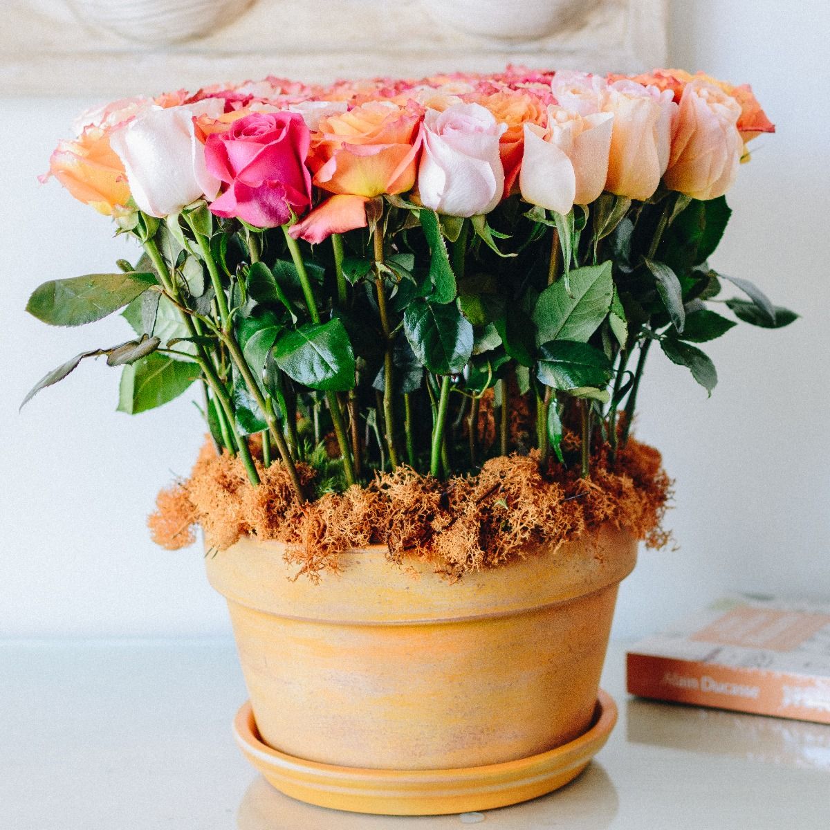 The Flower Pot