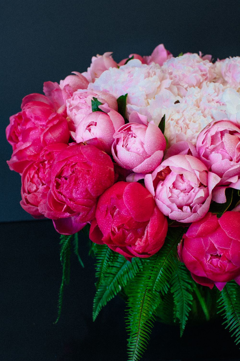 The Peony Trinity