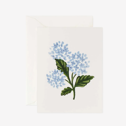 Rifle Paper Co - Hydrangea Bloom - Greeting Card