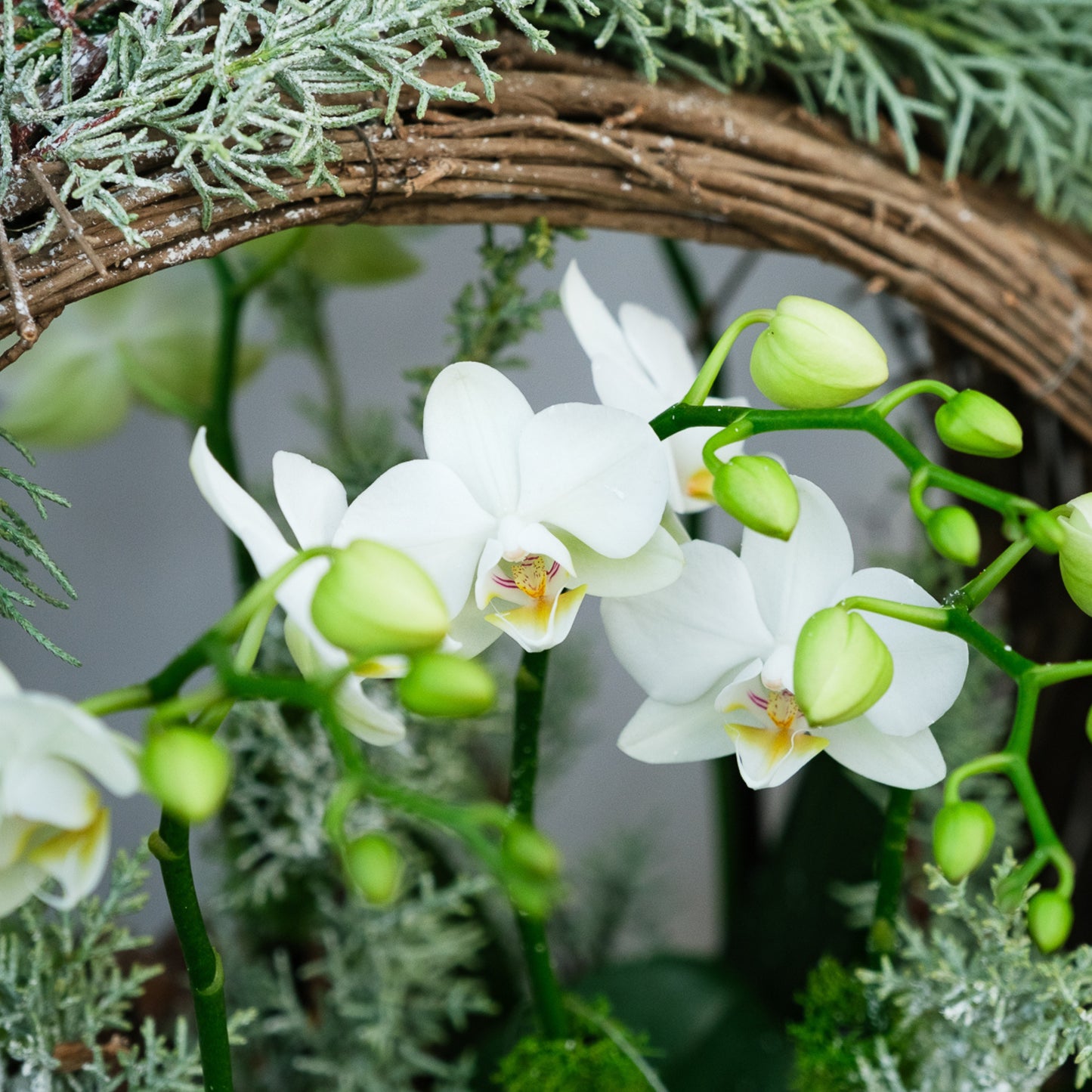 Winter Orchid Wreath Basket