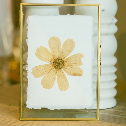 Empty Vase - Pressed Flower Frame