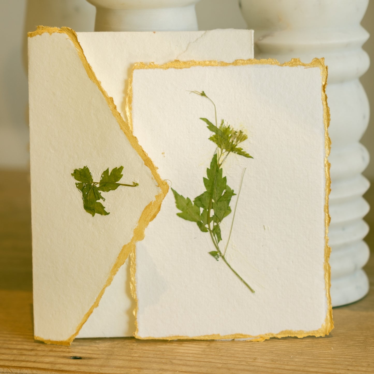 Empty Vase - Handmade Pressed Flower Holiday Postcard - Gold Trim